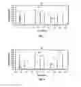 Fig. 08 - Photo ionization detector for gas chromatography having at least two separately ionizing sources