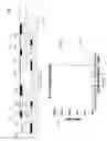 Fig. 08 - Axial magnetic suspension