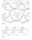 Fig. 06 - Touch determination with interaction compensation