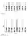Fig. 06 - Indirect reflection suppression in depth imaging
