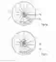 Fig. 02 - Microscope for widefield microscopy
