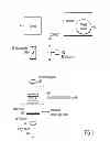 Fig. 02 - Systems and methods for counting cells and biomolecules