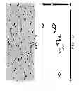 Fig. 10 - Systems and methods for counting cells and biomolecules