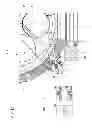 Fig. 13 - Ready for rotation state detection device, method of detecting ready for rotation state and substrate processing apparatus