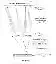 Fig. 05 - Lens system