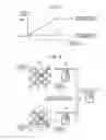 Fig. 07 - Apparatus and method for processing image signal, imaging apparatus, and method for displaying image