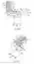 Fig. 06 - Television and electronic apparatus