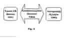Fig. 08 - METHOD OF PLASTIC TOUCH SENSOR PROCESS