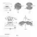 Fig. 06 - APPARATUS AND METHOD FOR QUANTITIVE PHASE TOMOGRAPHY THROUGH LINEAR SCANNING WITH COHERENT AND NON-COHERENT DETECTION