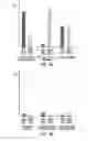Fig. 04 - Document reading apparatus, document reading method and storage medium