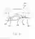 Fig. 40 - Two-motor co-located gimbal-based dual stage actuation disk drive suspensions with motor stiffeners