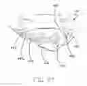 Fig. 46 - Two-motor co-located gimbal-based dual stage actuation disk drive suspensions with motor stiffeners