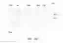 Fig. 34 - Semiconductor memory and method of making the same
