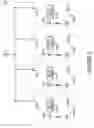Fig. 04 - Apparatuses and methods for unit identification in a master/slave memory stack