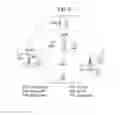 Fig. 07 - Method and device for measuring a reference signal received quality in wireless communication system