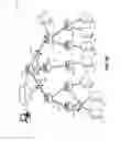 Fig. 03 - Efficient multicast topology construction in a routed network