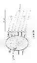 Fig. 03 - METHODS AND SYSTEMS FOR USING A BEAM-FORMING NETWORK IN CONJUNCTION WITH SPATIALLY MULTIPLEXED WIRELESS SIGNALS