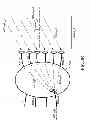 Fig. 17 - METHODS AND SYSTEMS FOR USING A BEAM-FORMING NETWORK IN CONJUNCTION WITH SPATIALLY MULTIPLEXED WIRELESS SIGNALS