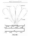 Fig. 23 - METHODS AND SYSTEMS FOR USING A BEAM-FORMING NETWORK IN CONJUNCTION WITH SPATIALLY MULTIPLEXED WIRELESS SIGNALS