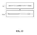 Fig. 28 - METHODS AND SYSTEMS FOR USING A BEAM-FORMING NETWORK IN CONJUNCTION WITH SPATIALLY MULTIPLEXED WIRELESS SIGNALS
