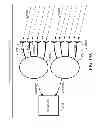 Fig. 29 - METHODS AND SYSTEMS FOR USING A BEAM-FORMING NETWORK IN CONJUNCTION WITH SPATIALLY MULTIPLEXED WIRELESS SIGNALS
