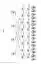 Fig. 02 - Randomization of packet size