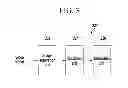 Fig. 04 - APPARATUS, METHOD AND NON-TRANSITORY COMPUTER-READABLE MEDIUM FOR DETECTING X-RAYS