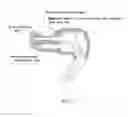 Fig. 04 - Bone transmission earphone