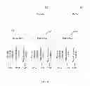 Fig. 12 - Sound Effect Adjustment Method, Apparatus and Device