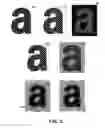 Fig. 04 - Forensic verification utilizing halftone boundaries
