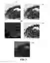 Fig. 04 - Forensic verification utilizing forensic markings inside halftones
