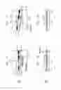 Fig. 02 - Optical component with angled-facet waveguide
