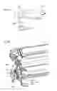 Fig. 05 - Image forming apparatus