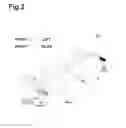 Fig. 03 - Image Forming Apparatus