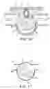 Fig. 09 - Pump having a housing and a rotor capable of rotating in the housing