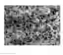 Fig. 01 - Method for fabricating biocompatible porous titanium