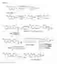 Fig. 03 - BETA-AMYLOID IMAGING AGENTS, METHODS OF MANUFACTURE, AND METHODS OF USE THEREOF