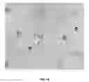 Fig. 20 - Method of Delivering Therapeutics and Imaging Agents to the Brain by Nanoparticles that Cross the Blood Brain Barrier