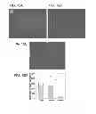 Fig. 10 - Reverse thermal gels and their use in cell therapy