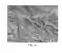 Fig. 12 - Reverse thermal gels and their use in cell therapy