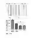 Fig. 20 - Reverse thermal gels and their use in cell therapy