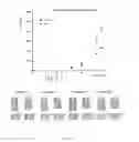 Fig. 11 - COMPOSITIONS AND METHODS FOR TREATMENT OF ANGIOGENESIS IN PATHOLOGICAL LESIONS