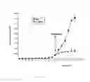 Fig. 22 - COMPOSITIONS AND METHODS FOR TREATMENT OF ANGIOGENESIS IN PATHOLOGICAL LESIONS