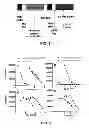 Fig. 02 - Targeted human-interferon fusion proteins