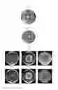 Fig. 16 - Method for inhibiting proliferation of plant pathogenic microbe using bacterium