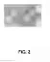 Fig. 03 - SENECA VALLEY VIRUS BASED COMPOSITIONS AND METHODS FOR TREATING DISEASE