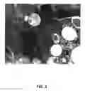 Fig. 04 - SENECA VALLEY VIRUS BASED COMPOSITIONS AND METHODS FOR TREATING DISEASE