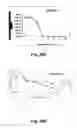 Fig. 53 - SENECA VALLEY VIRUS BASED COMPOSITIONS AND METHODS FOR TREATING DISEASE