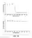 Fig. 60 - SENECA VALLEY VIRUS BASED COMPOSITIONS AND METHODS FOR TREATING DISEASE