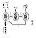 Fig. 67 - SENECA VALLEY VIRUS BASED COMPOSITIONS AND METHODS FOR TREATING DISEASE